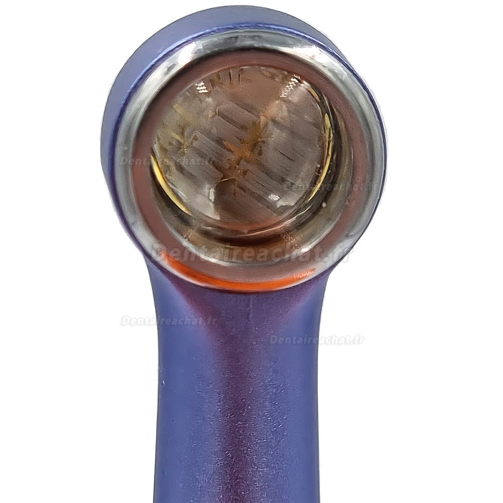 Lampe &agrave; polym&eacute;riser dentaire sans fil LED Mecco Q9 avec radiom&egrave;tre LED et d&eacute;tecteur de caries